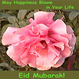 Eid Wishes