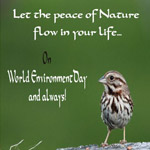 Happy Environment Day E-Cards