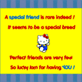 Special Friends is Rare Indeed