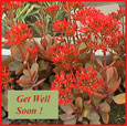 Get Well E-greetings