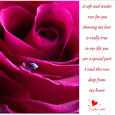 Love Rose Card, , I Love You cards