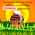 Pongal Celebration Card
