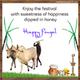 Pongal Wishes Greeting