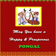 Pongal Celebration Greeting Card