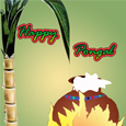 Pongal Greetings