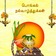 Pongal Celebration Card 