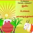 Pongal Tamil Card