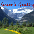 Season's Greeting Card