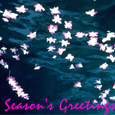 Season's Gaeeting Cards