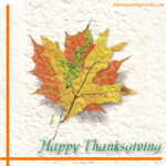 Happy Thanks giving Cards