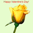 Valentine rose Wishes Card